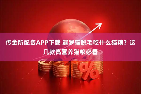 传金所配资APP下载 暹罗猫脱毛吃什么猫粮？这几款高营养猫粮必看