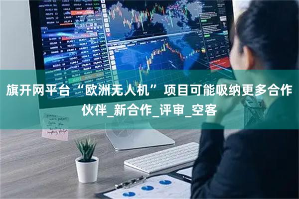 旗开网平台 “欧洲无人机” 项目可能吸纳更多合作伙伴_新合作_评审_空客