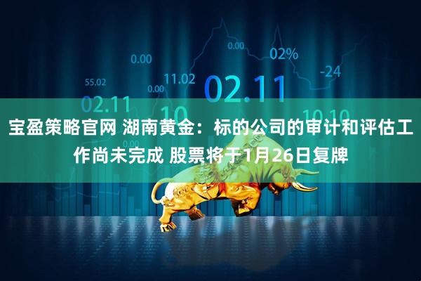 宝盈策略官网 湖南黄金：标的公司的审计和评估工作尚未完成 股票将于1月26日复牌