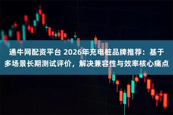 通牛网配资平台 2026年充电桩品牌推荐：基于多场景长期测试评价，解决兼容性与效率核心痛点